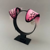 Image 2 of Pink Spider Pup