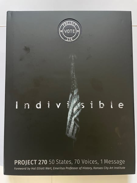 Image of INDIVISIBLE PROJECT 270