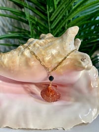 Image 2 of Scallop Shell Necklace N204