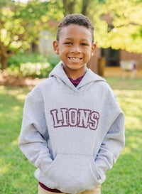 Image 1 of Youth Gray LIONS Hoodie 
