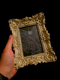 Image 2 of Silver Champagne  ornate framed preserved web