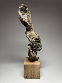 Image 5 of “Leroy”