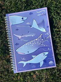Image 2 of a5 Shark sticker book (50 pages!)