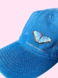 Image 4 of Cappellino MORFO