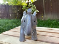 Image 2 of Rainbow "Elephant" Bush in Glazed Elephant