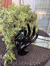 Image 5 of Midnight Stars ✨✨✨