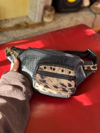 Image 2 of Leo Funny Pack