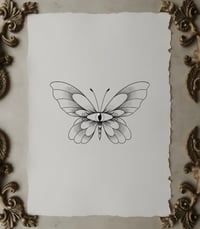 Spying Flutterby