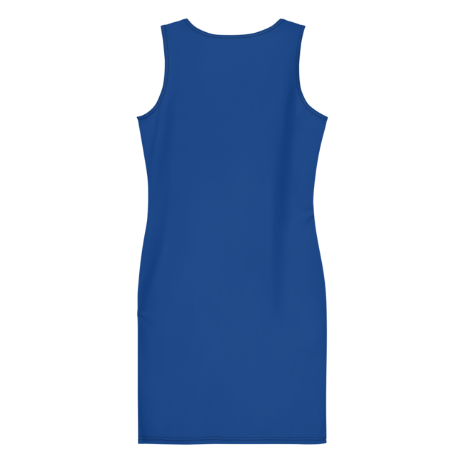 Gmode Blue Cut & Sew Dress 