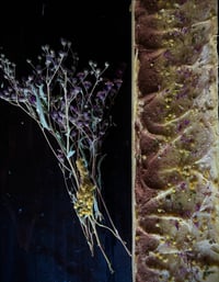 Goldenrod + Ironweed