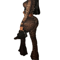 Image 1 of 2 Piece See Through Leopard Set