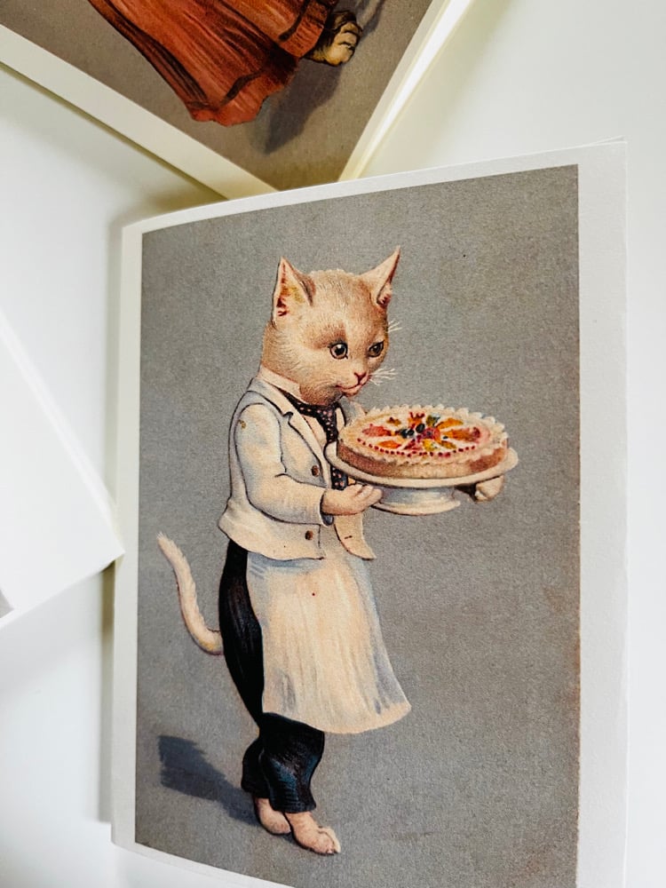 Image of CT CATS