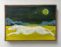 Sighthound by moonlight