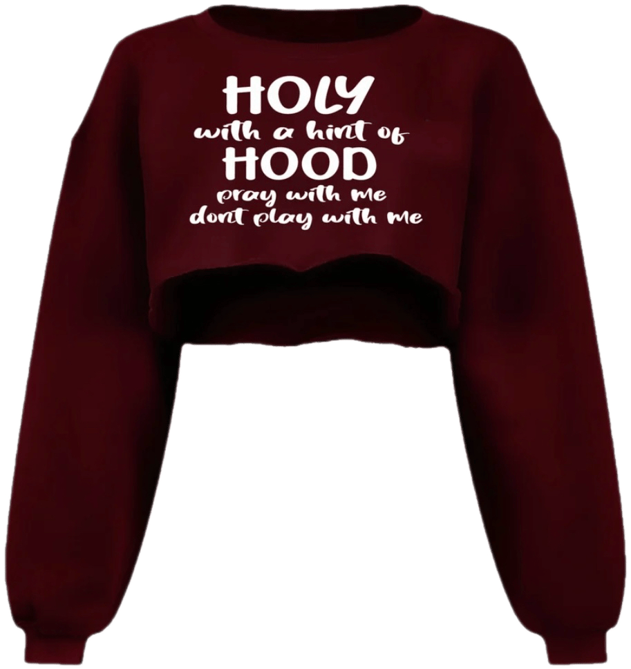 Image of Holy With A Hint Of Hood Crop Sweatshirt