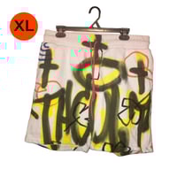 Image 1 of Spray Bombed Zara Shorts