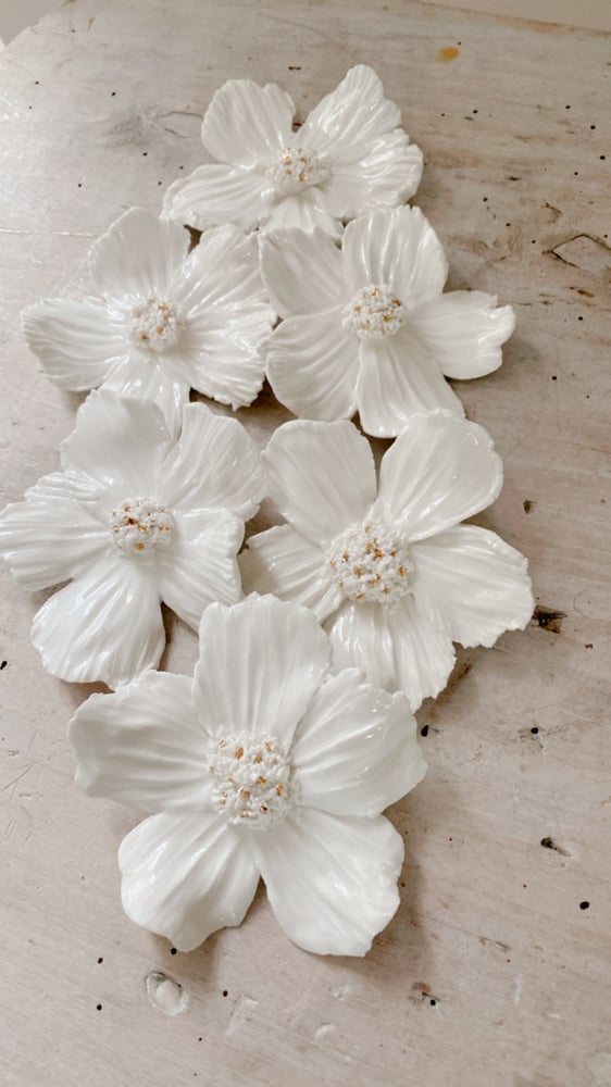 Image of Fleurs blanche 