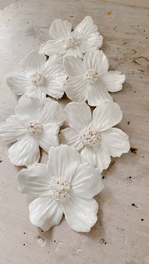 Image of Fleurs blanche