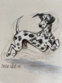 Image 1 of Commission your own Scruffy Woofy Dog Drawing 