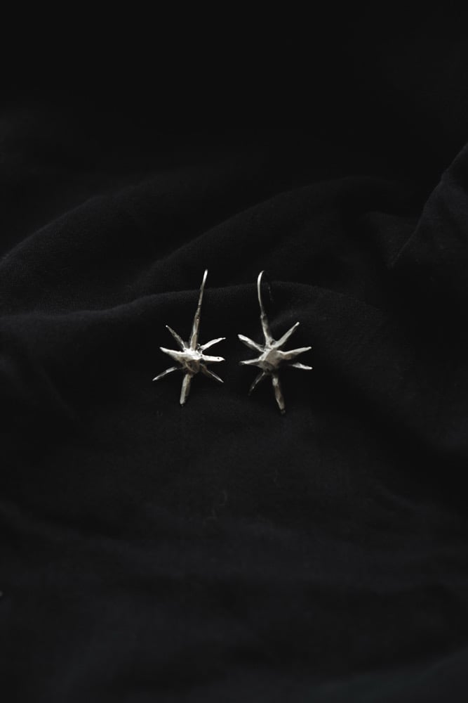 Image of Tân y Nos Earrings