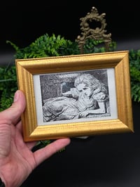 Image 2 of Vintage Alice Collection with preserved web - Giant Alice