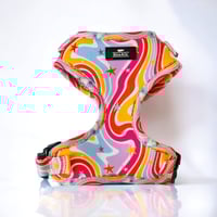Image 2 of Retro Stripes Collection - Adjustable Pet Harness