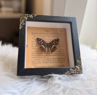 Image 1 of Quiet Wings