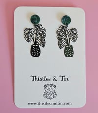 Image 2 of Potted Monstera Dangles - SKU 575