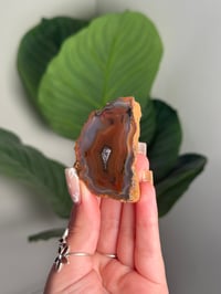 BLUE AND ORANGE CONDOR AGATE -ARGENTINA- #9