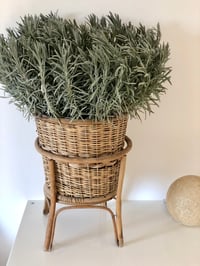 Porte plante avec support en rotin 