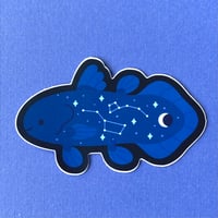 Image 1 of Starry Coelacanth Sticker