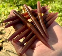 Image 3 of “WACKY SACKS” 5” Wacky Worms - SMASHBERRY