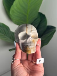 Image 16 of CHOOSE YOUR OWN SEA JASPER SKULL -MADAGASCAR-