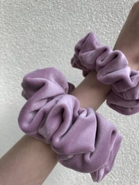 Image 5 of SCRUNCHIE STANDARD LILY/LILIA