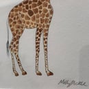 Image 3 of £50 originals - giraffe watercolour