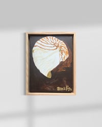 Image 10 of Island Shell Original