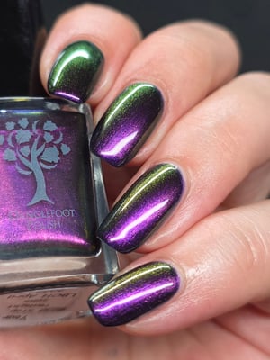 Image of Little box of Horrors 