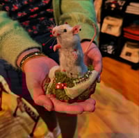 Image 3 of Taxidermy For Beginners at Ouroboros Sat 21st June 11am - 3.30