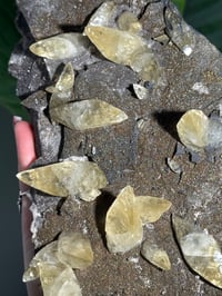 Image 5 of XXL SWEETWATER CALCITE WITH PYRITE -MISSOURI- PORCUPINE POCKET 2025 A