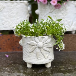 Image of Small Flannel Flower Vase/ Cachepot  (4267)