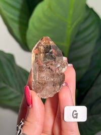 Image 7 of CHOOSE YOUR OWN NATURAL (UNPOLISHED) RUTILE IN QUARTZ POINT -BRAZIL-