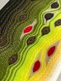 Image 11 of Thin Brown Trout by Mikie