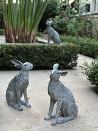 Image 6 of Entrance Garden Hare