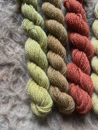Image 3 of Mini Bundle #5 - 100G Hand Dyed Kent Romney Mini Skeins