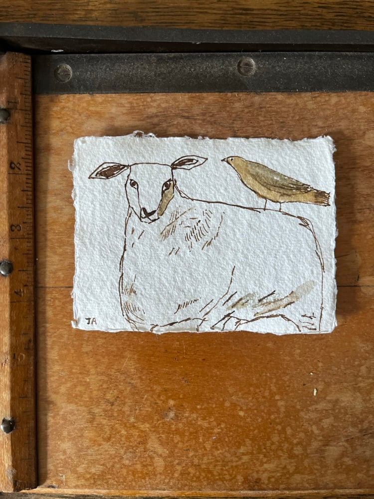 Image of Sheep and lodger. 