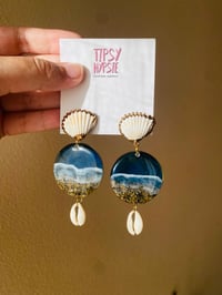Image 2 of 🌊Ocean Cowrie Sea Shells🌊