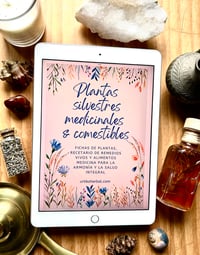 Image 1 of Ebook Plantas silvestres & comestibles 