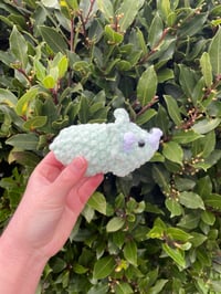 Image 2 of mini triceratops plushie