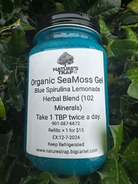 Organic SeaMoss Gel Blue Spirulina Lemonade 16oz 