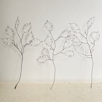 Image 2 of Wire Honesty seed sculpture 