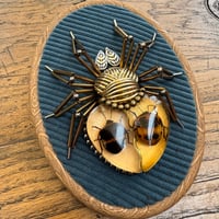 Image 1 of Specimen spider (c, 4x5  inches)